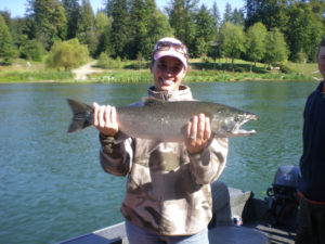 Coho Salmon