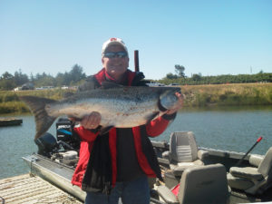 Chinook Salmon