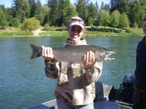 Coho Salmon